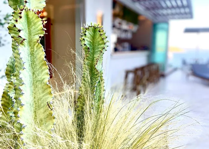 Alexis Aparthotel Megali Ammos (Skiathos)